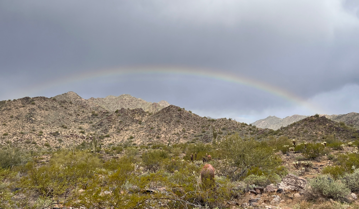 Desert landscape with a rainbow