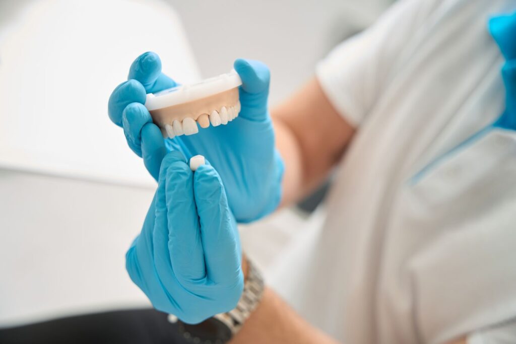 a dentist holding a model of a crown